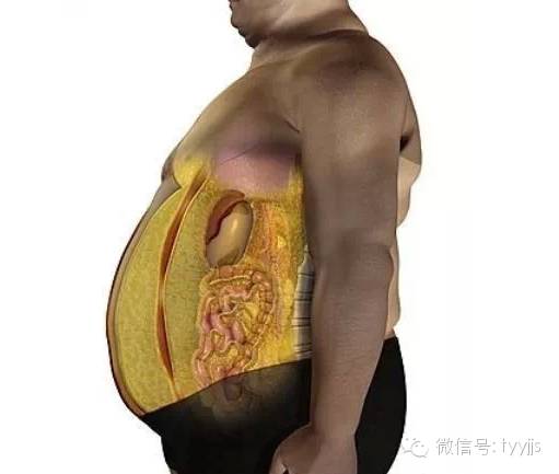 一张图看懂脂肪的真面目,脂肪就像泡沫一样形成过程