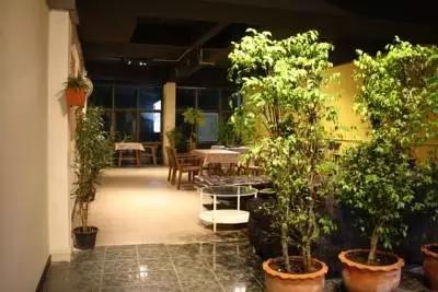 揭秘：真实的泰国人妖，昙花一现的美丽