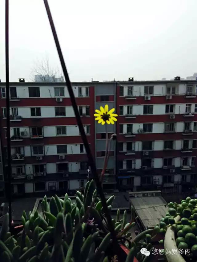 你们的名字有多土,你们的名字叫什么