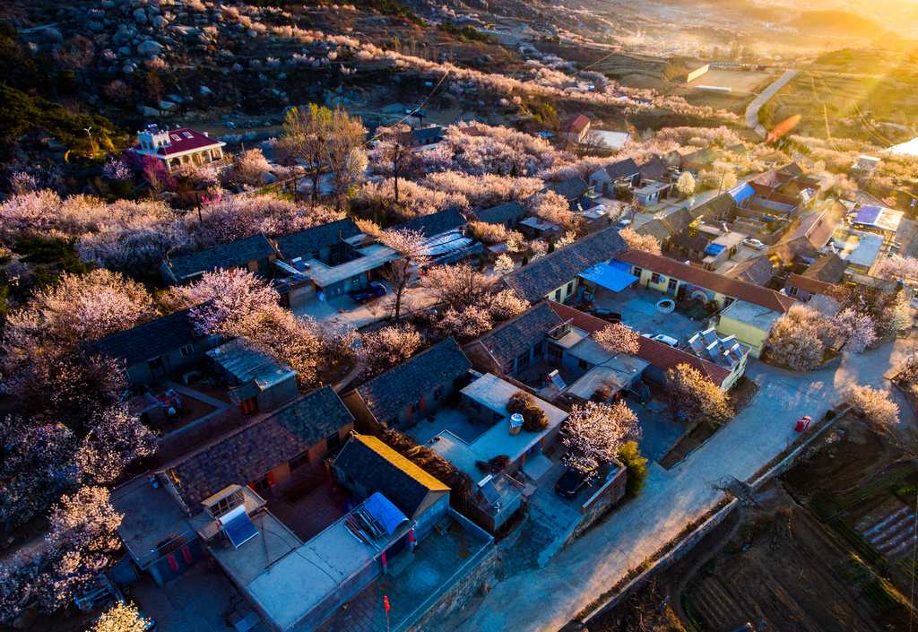 精灵phantom4prov2.0教学视频,精灵phantom4prov2.0缺点