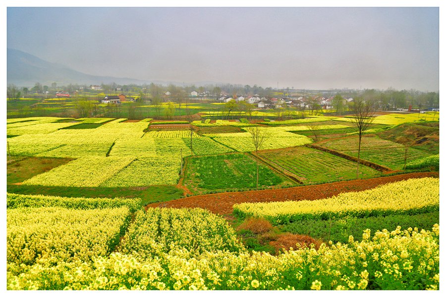 聚焦陕西蓝田泄湖镇,蓝田县洩湖镇发展规划