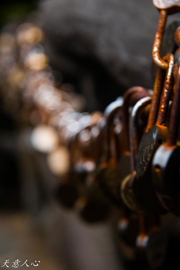 漫游武夷山之自驾游,漫游武夷记