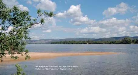 原生魟鱼,魟鱼原生