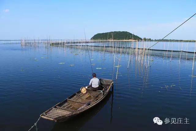 垂钓农庄一般投资多少钱,投资20亩休闲垂钓农庄生态园预算