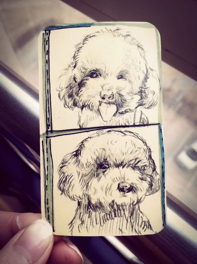 不是做网红而是做有内容的服务者,网红用户体验