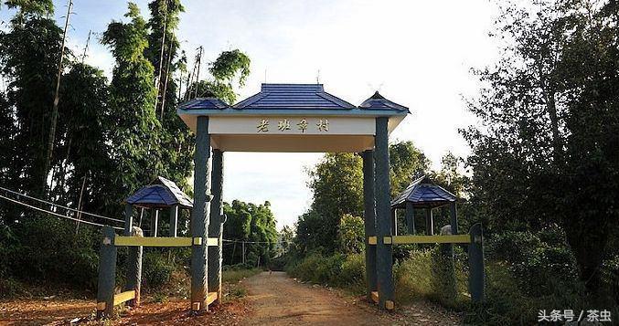 十大经典普洱茶排行榜,十大名寨普洱茶