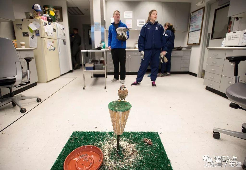 美国空军学院日常,美国空军学院女兵