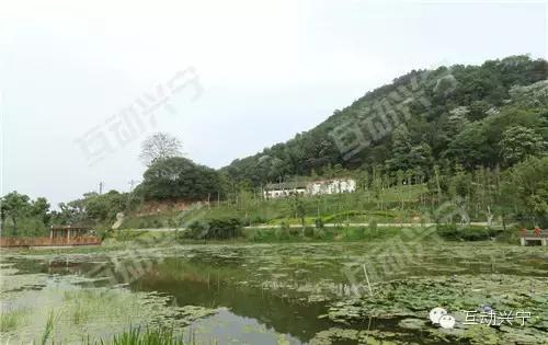 大家好,给大家介绍一下,这是我的家乡兴宁