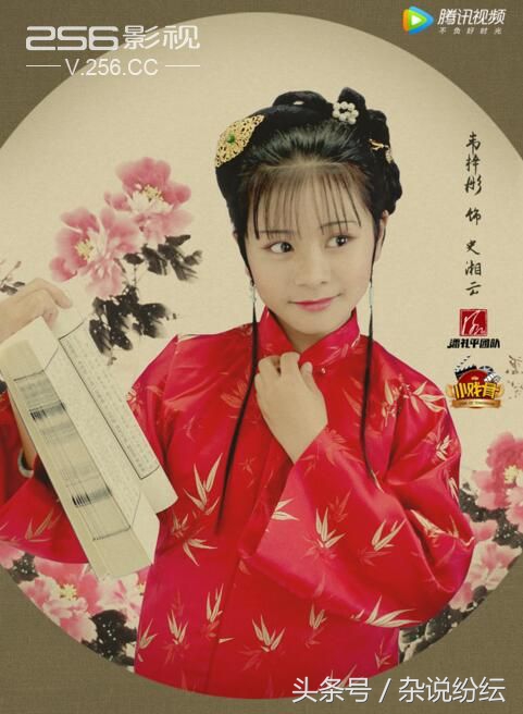 红楼梦小戏骨长大后拍的剧叫什么,小戏骨儿童版红楼梦