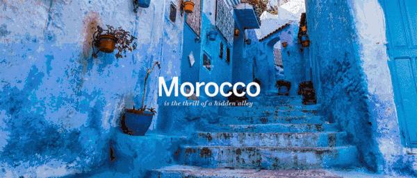 喵星人｜铲屎大大，发现一个超适合撸猫的地方……