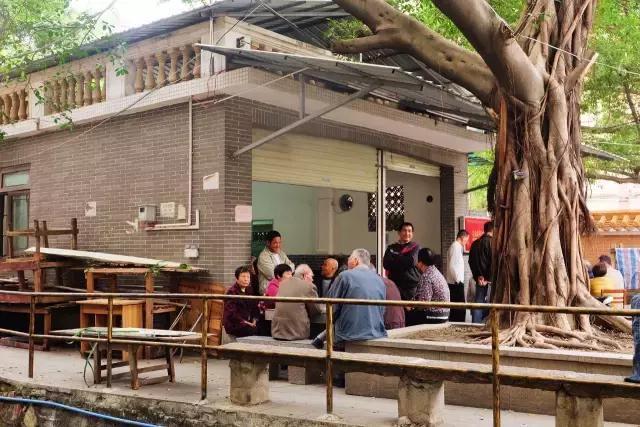 小洲玩点啥,小洲去哪玩了