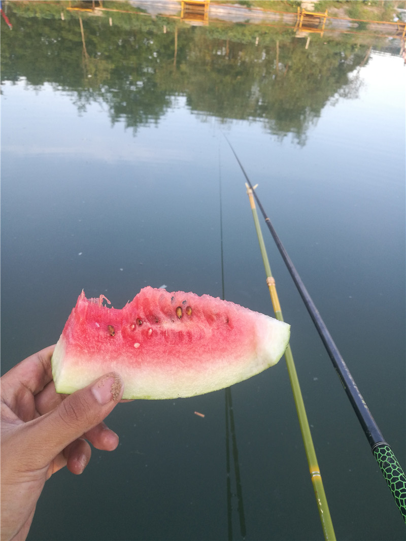 桂林象山区钓鱼黑坑,广西桂林钓鱼黑坑