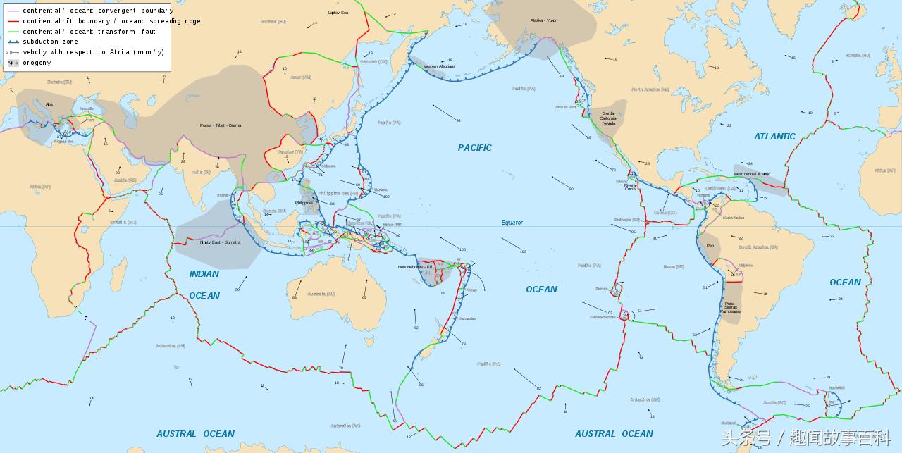 达尔文的进化论基本论点,达尔文生物进化论的四个论点