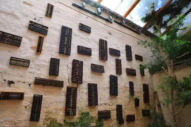 小洲玩点啥,小洲去哪玩了