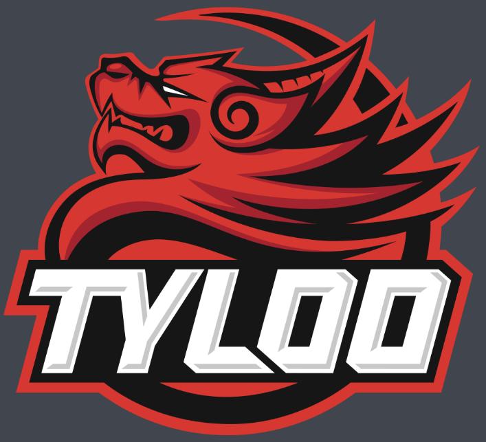 cs1.6全球最著名的战队,cs1.6中国十大强队