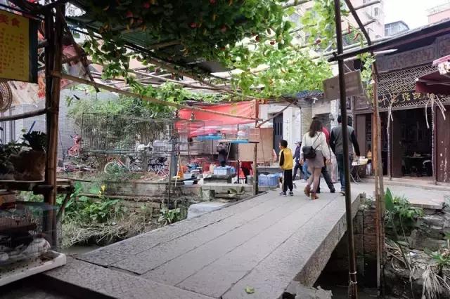 小洲玩点啥,小洲去哪玩了