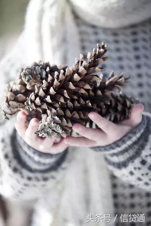 信贷通百科：咳嗽吃这个，ー天就见效！你却把它当垃圾丢了！