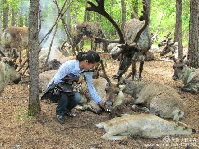 旅游、度假、休闲娱乐为一体的内蒙古根河市敖鲁古雅旅游度假村
