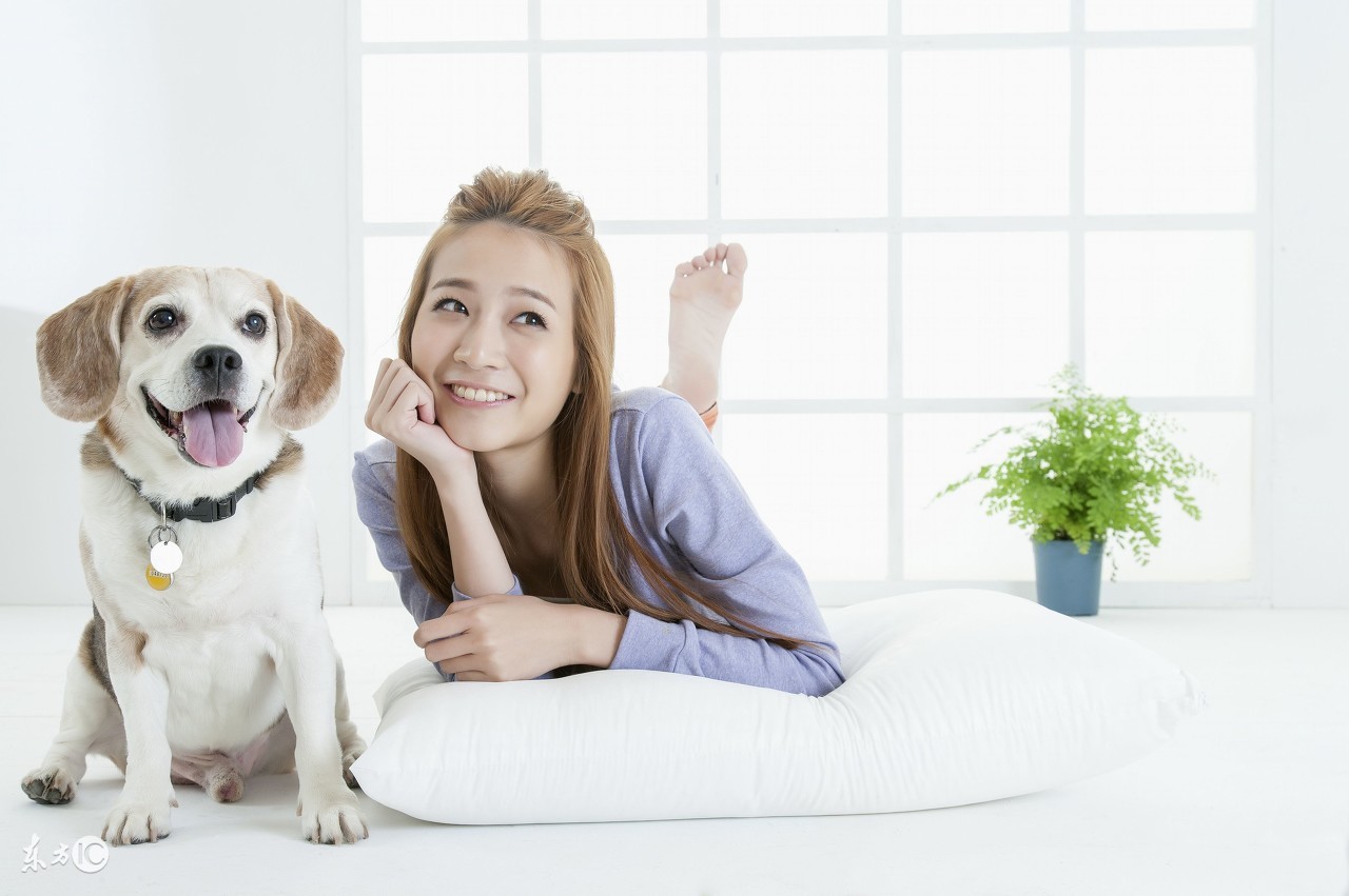 别不可思议，狗狗也有生理期！