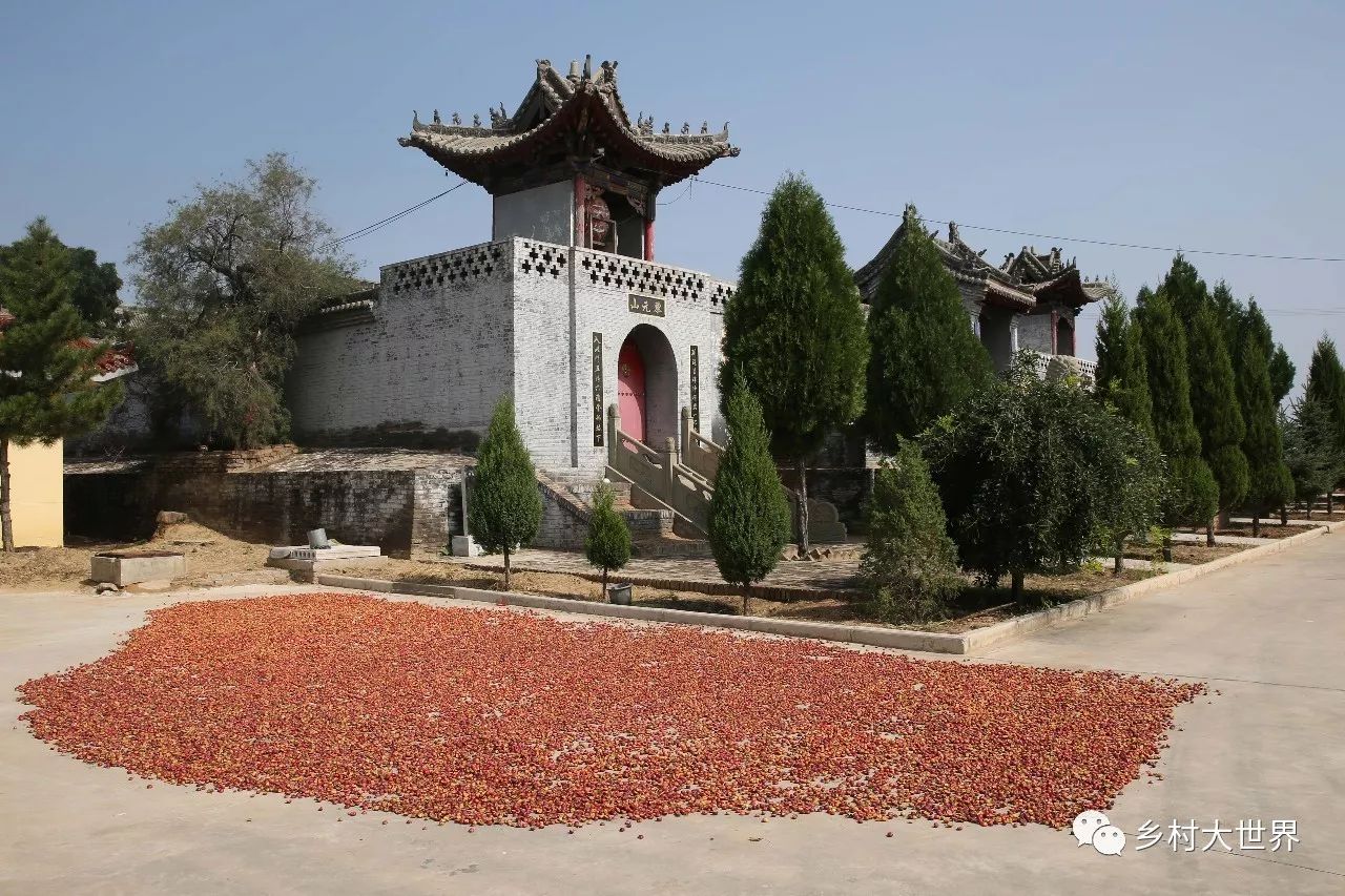 水果中的补钙之王,钙中之王吃什么水果