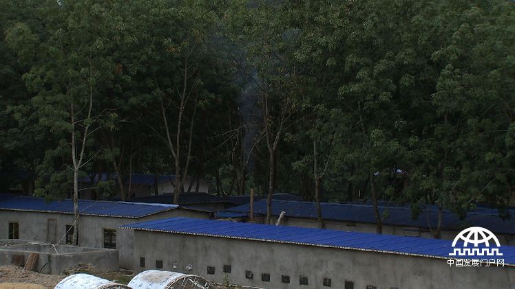 致富经:胆小小伙养蛇记