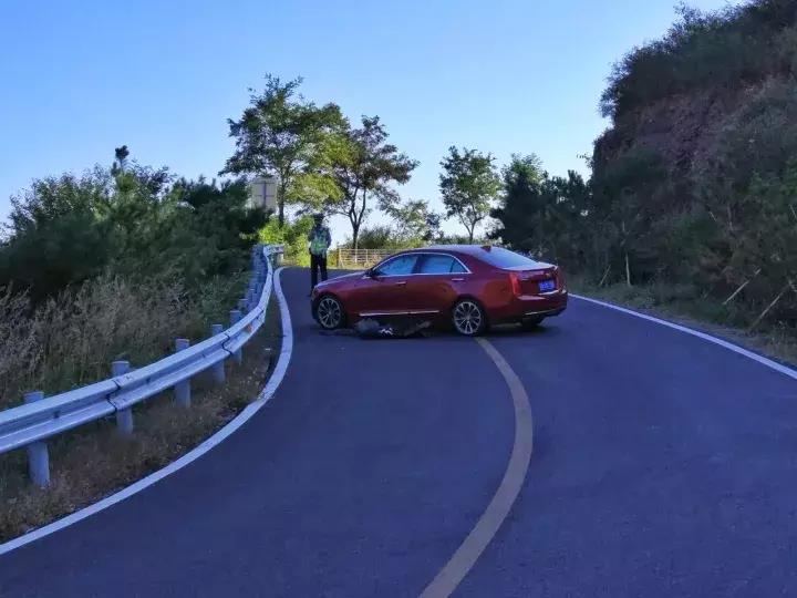 扣了12分后怎么操作,一次扣满12分补救方法