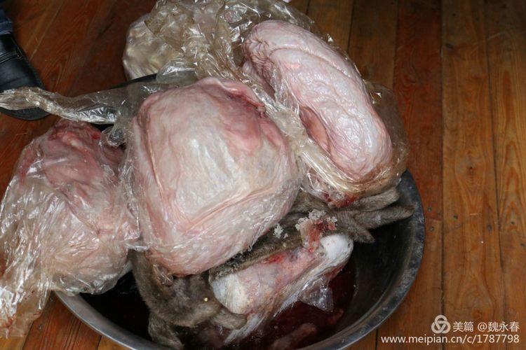 内蒙古草原旅游度假村,内蒙古敖鲁古雅景区