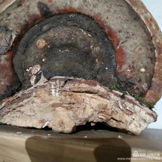 旅游、度假、休闲娱乐为一体的内蒙古根河市敖鲁古雅旅游度假村