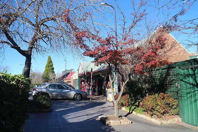 悉尼蓝山景点怎么样啊,悉尼蓝山一日游跟团