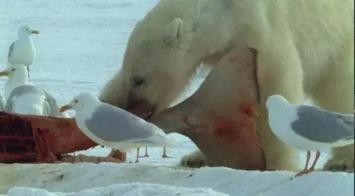 等了17年,等了你十七年