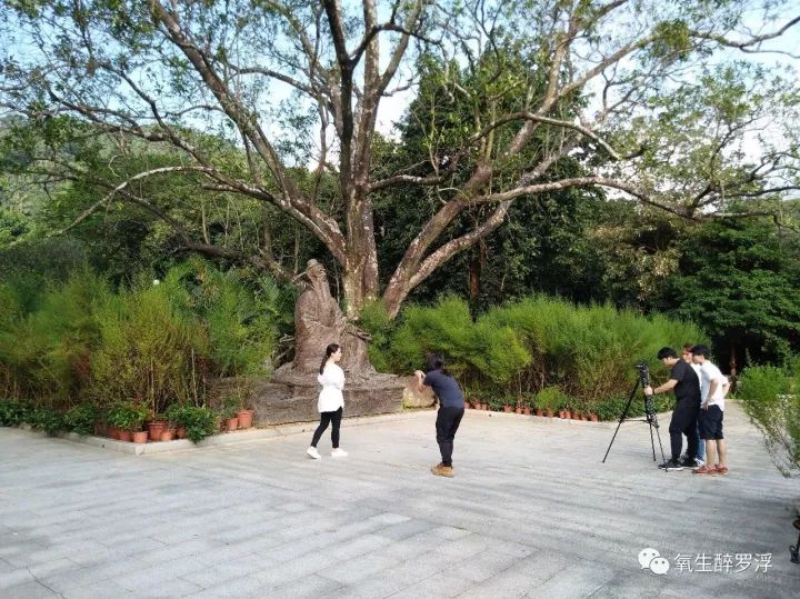 百医百顺完整版,百医百顺相声完整版