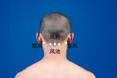 人体穴位大全全身高清穴位图,全身最重要的74个穴位讲解附图