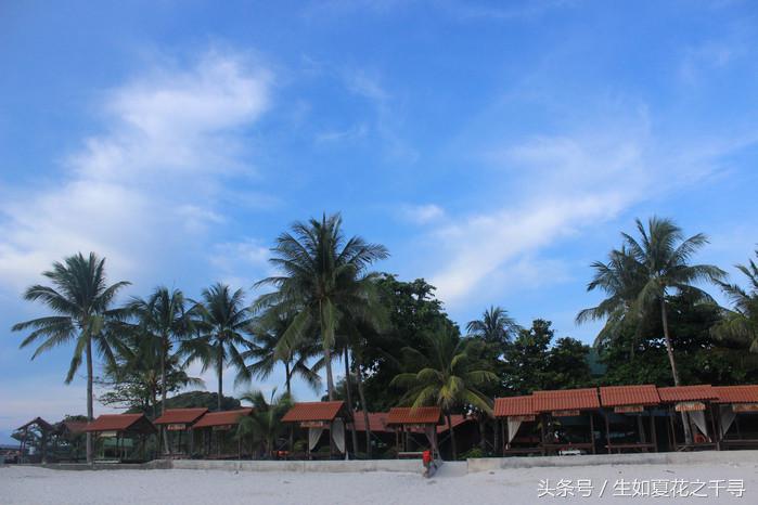 去兰卡威红树林,去兰卡威怎么玩