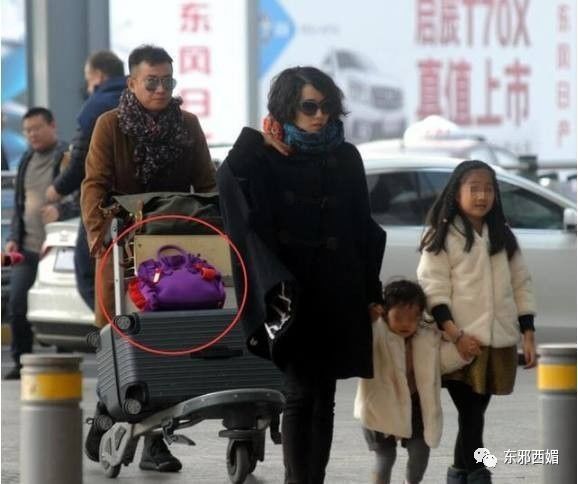 同框的袁泉气质太出挑,再次被袁泉的美惊艳到了