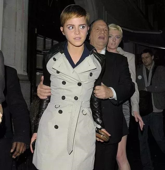 好莱坞的风云人物韦恩斯坦 (韦恩斯坦纪录片)