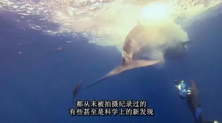 等了17年,等了你十七年