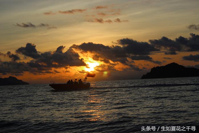 去兰卡威红树林,去兰卡威怎么玩