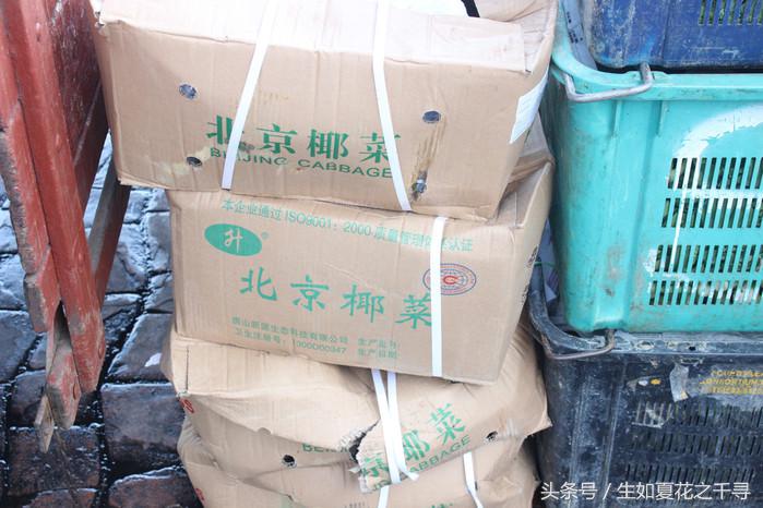 去兰卡威红树林,去兰卡威怎么玩