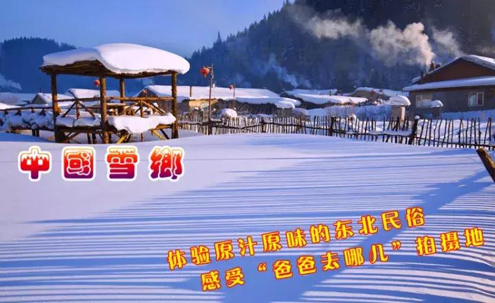 东北看雪旅游攻略哈尔滨,冬季到东北来看雪