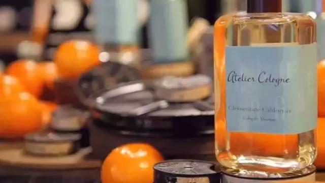 最好圣诞节礼物是什么品牌,圣诞系列礼物