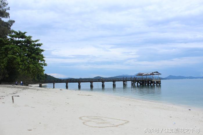 去兰卡威红树林,去兰卡威怎么玩