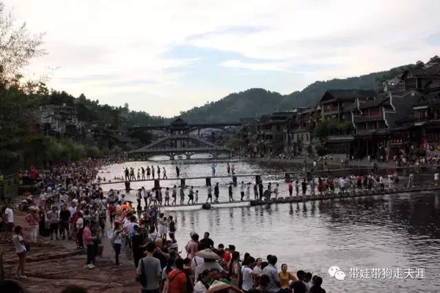 开着房车去遛娃,开着房车带狗狗出去玩