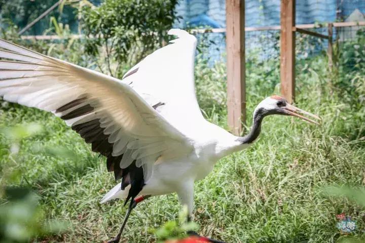 广州动物园的地图,广州动物园下一站去哪里