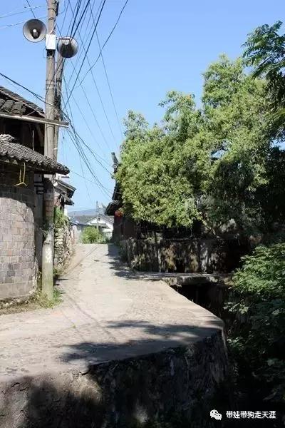 开着房车去遛娃,开着房车带狗狗出去玩