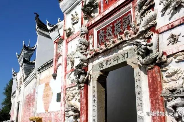 开着房车去遛娃,开着房车带狗狗出去玩