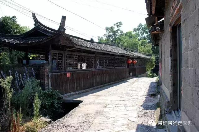 开着房车去遛娃,开着房车带狗狗出去玩