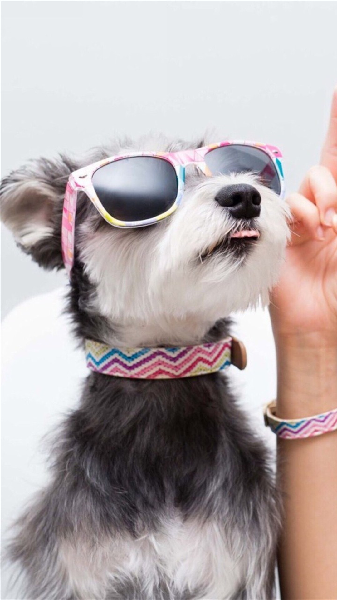 唯美1080×1920P高清壁纸锁屏画面待机背景图！请在wifi环境查看