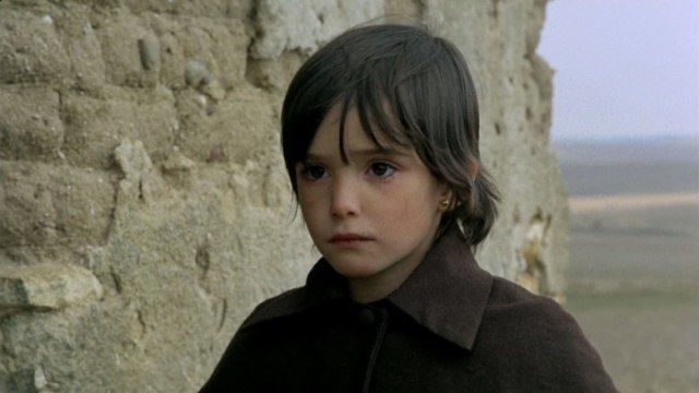 12部经典的儿童表演电影，快来领略一下孩子的神演技吧