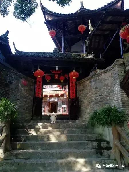 开着房车去遛娃,开着房车带狗狗出去玩