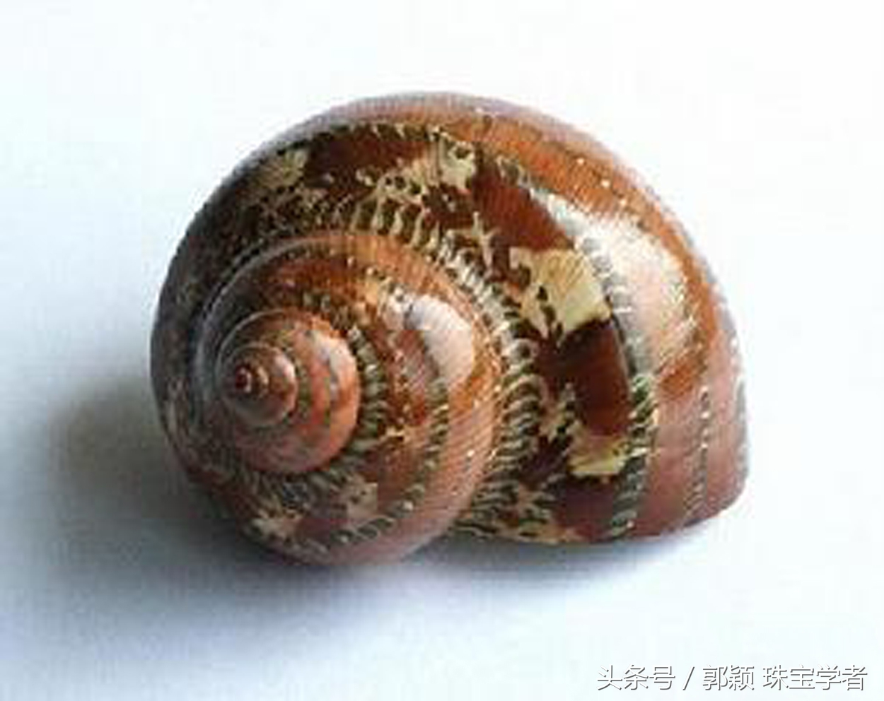 能戴在身上的美味,好吃更好看!